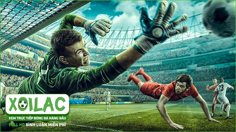 Xoilac tv trực tiếp và cập nhật các giải đấu Euro mới nhất
